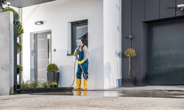 Best Soft Washing  in Needles, CA